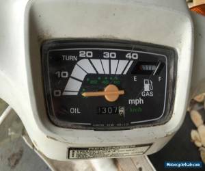 Motorcycle 1982 HONDA  MELODY WHITE for Sale