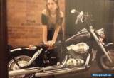 Motorcycle Custom 2013 400cc Honda Shadow for Sale