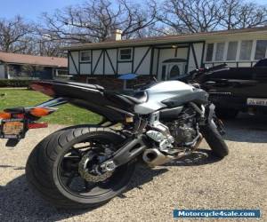 Motorcycle 2015 Yamaha FZ for Sale