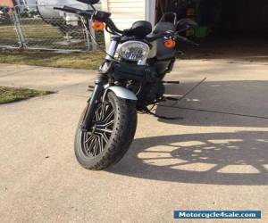 Motorcycle 2009 Harley-Davidson Sportster for Sale