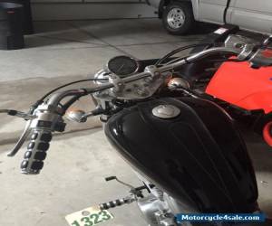 Motorcycle 2002 Honda Shadow for Sale