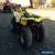 Suzuki LTZ50 Quad Bike 2009  for Sale