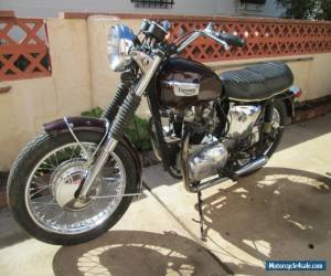 Motorcycle 1968 Triumph Daytona for Sale