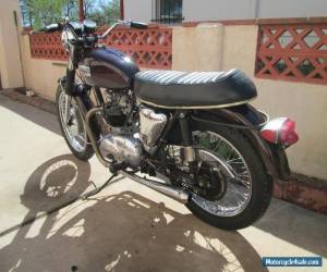 Motorcycle 1968 Triumph Daytona for Sale