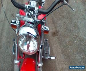 Motorcycle 1980 Harley-Davidson Softail for Sale