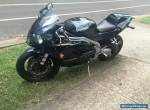 Triumph Daytona 955i for Sale