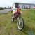 honda xr200r for Sale