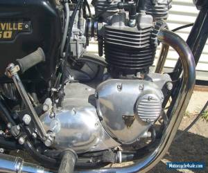 Motorcycle 1979 Triumph Bonneville for Sale