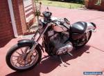 Harley Davidson Sportster 883 for Sale