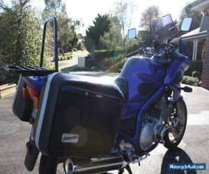 Motorcycle 1998 Yamaha 900 Diversion for Sale