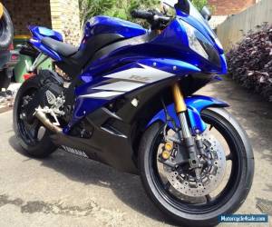 Motorcycle 2006 Yamaha R6 for Sale