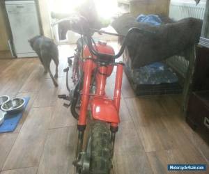 Motorcycle Honda Z50 Monkey bike for Sale