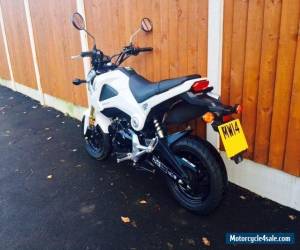 Motorcycle Honda MSX 125 Grom - White 2014 - 1000 Miles - FSH for Sale