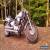 2008 Honda Shadow for Sale