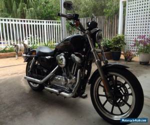 Motorcycle 2011 XL883 Sportster Harley Davidson *NO RESERVE* for Sale