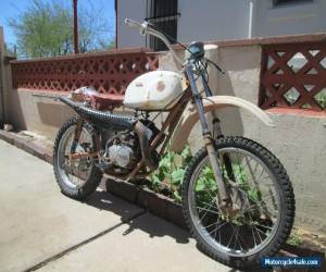 Motorcycle 1974 Hodaka Dirt Squirt for Sale