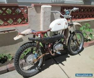 Motorcycle 1974 Hodaka Dirt Squirt for Sale