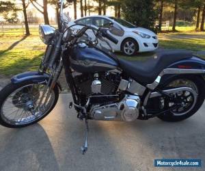 Motorcycle 2003 Harley-Davidson Softail for Sale