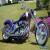 2004 Harley-Davidson Softail for Sale