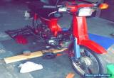 honda c50 for Sale