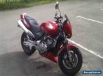 1998 HONDA CB600 HORNET RED Motorcycle *No Reserve Starting bid 99p* for Sale