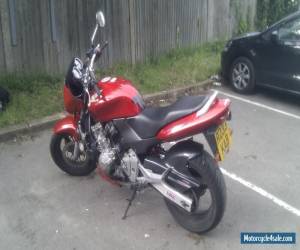 Motorcycle 1998 HONDA CB600 HORNET RED Motorcycle *No Reserve Starting bid 99p* for Sale