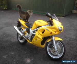 Motorcycle Suzuki SV650S, Mot 22/2/2017, 34K, heated grips fitted & usb for Satnav/phone for Sale