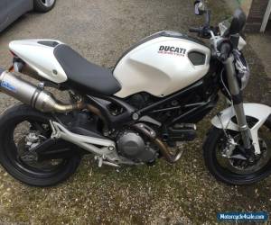 MINT Ducati Monster, 3700 miles, Full Major service by Ducati 100 miles ago! for Sale