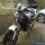 MINT Ducati Monster, 3700 miles, Full Major service by Ducati 100 miles ago! for Sale