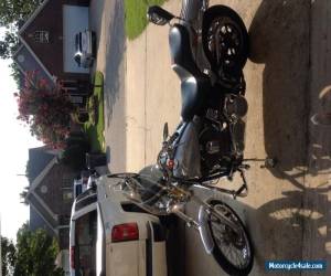 Motorcycle 2001 Harley-Davidson Softail for Sale