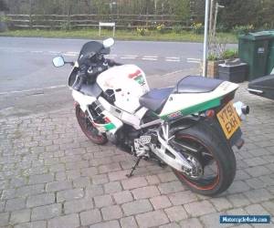 Motorcycle Honda CBR 900RR (929) Fireblade for Sale