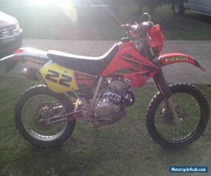 Honda XR250R for Sale