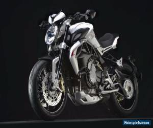 Motorcycle 2015 MV Agusta Dragster 800 for Sale