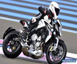 Motorcycle 2015 MV Agusta Dragster 800 for Sale