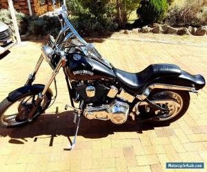 Motorcycle HARLEY DAVIDSON SOFTAIL FXSTC for Sale