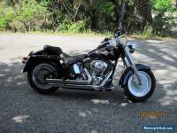 2001 Harley-Davidson Softail