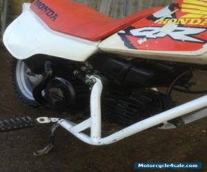 Motorcycle Honda QR50 2001  for Sale