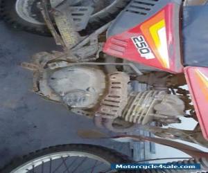 Motorcycle SUZUKI DR 250 F TRAIL OR ROAD 1985 FARM BIKE for Sale