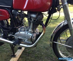 Motorcycle Ducati: Other for Sale