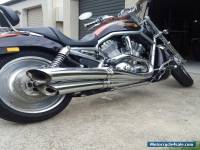 2004 Harley Davidson V Rod 1130cc