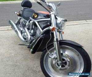 Motorcycle 2004 Harley Davidson V Rod 1130cc for Sale