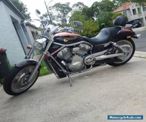 Motorcycle 2004 Harley Davidson V Rod 1130cc for Sale
