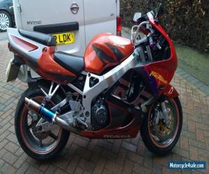 Honda cbr900 Fireblade for Sale