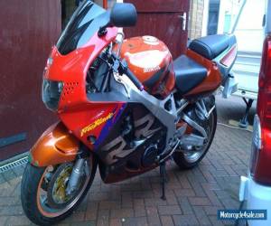 Motorcycle Honda cbr900 Fireblade for Sale