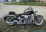 1994 Harley-Davidson Softail for Sale