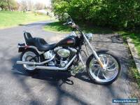 2010 Harley-Davidson Softail