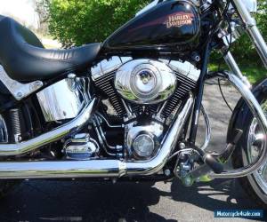 Motorcycle 2010 Harley-Davidson Softail for Sale