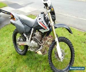 Motorcycle 2005 HONDA XR 250 for Sale