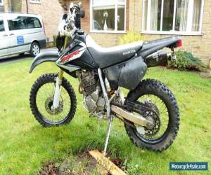 Motorcycle 2005 HONDA XR 250 for Sale