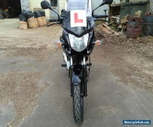 Motorcycle 2012 Honda CBF 125 3850 miles for Sale